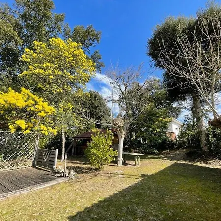 Landaise Charmante Pour 6 Pers Avec Grand Jardin - - Fr-1-413-211 *