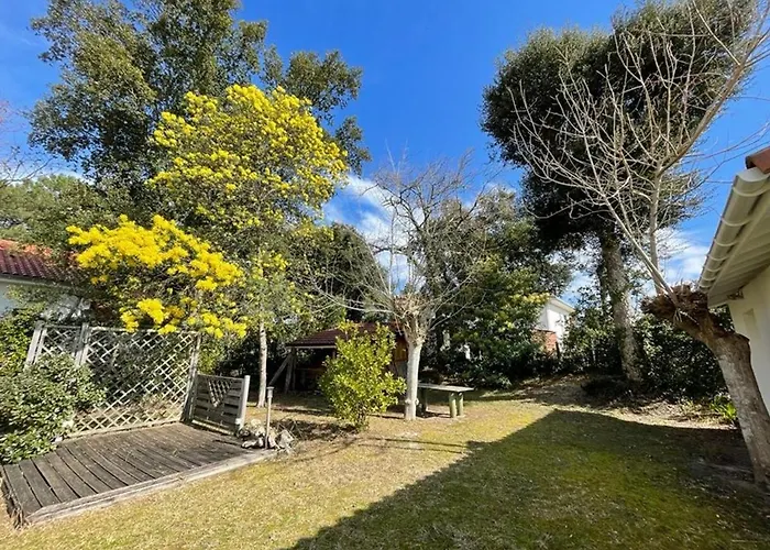 Landaise Charmante Pour 6 Pers Avec Grand Jardin - - Fr-1-413-211 *